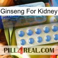 Ginseng For Kidney 40